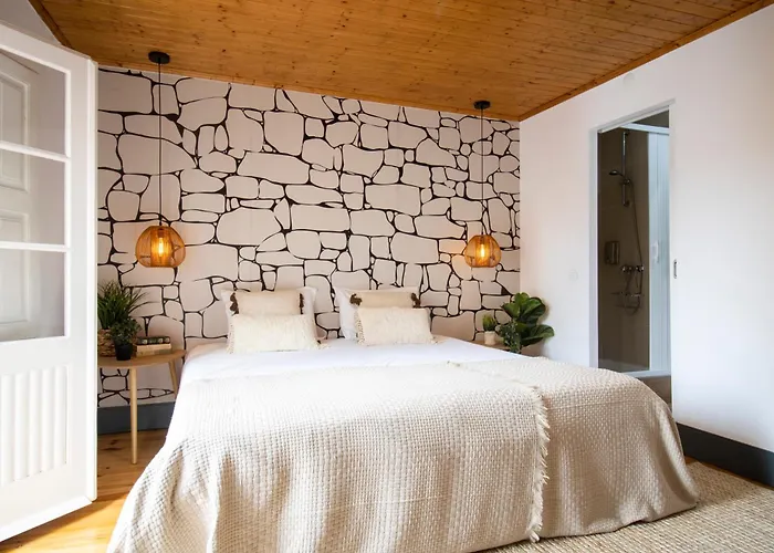 招待所 Se Velha 科英布拉